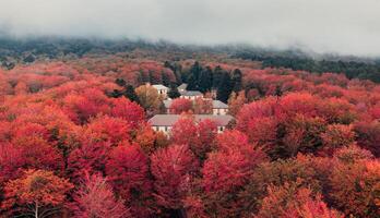 naranja árbol de montañas en otoño temporada aéreo disparar foto