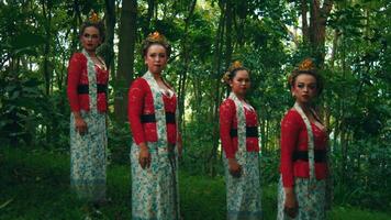 cuatro mujer en tradicional vestidos en pie en un bosque, representando cultural diversidad. video