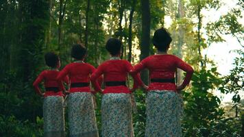 Four women in traditional attire standing side by side, facing away, in a lush forest setting. video