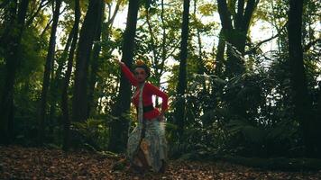 persona en rojo tradicional atuendo disfrutando otoño, lanzamiento hojas en un bosque video