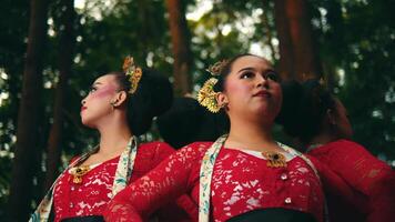 tradicional japonés mujer en kimonos mirando pensativo en medio de un sereno bosque ajuste. video