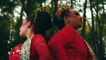 Profile of a woman in traditional attire with ornate hair accessory, set against a blurred forest backdrop. video