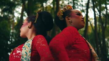 Profile of a woman in traditional attire with ornate hair accessory, set against a blurred forest backdrop. video