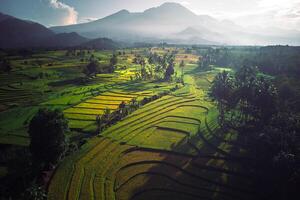 beautiful morning view from Indonesia of mountains and tropical forest photo