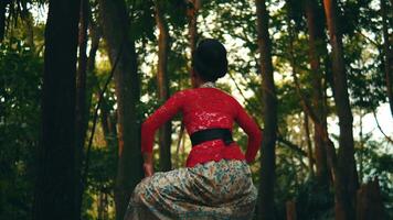 Rear view of a person dancing in traditional attire sitting in a serene forest video