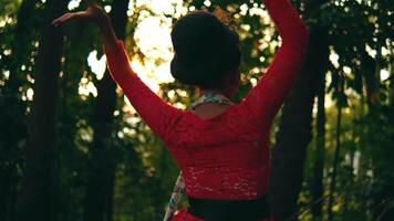 elegant vrouw in traditioneel kleding dansen in een Woud instelling met zonlicht filteren door de bomen. video