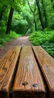 AI generated Wooden Bench in Forest photo