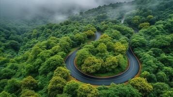 AI generated Scenic winding road through lush green forest in misty weather photo