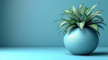 AI generated Minimalist striped houseplant in a blue ceramic pot on a blue background photo