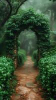 AI generated Serene Path Through Vast Green Forest photo