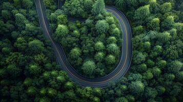 ai generado sereno devanado la carretera mediante lozano bosque foto