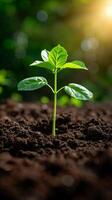 AI generated Small Green Plant Sprouting From Ground photo