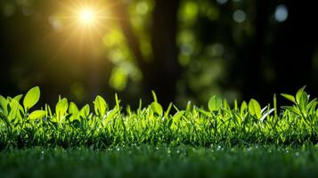 AI generated Sunlit Green Grass photo