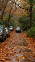 AI generated Autumn street scene with parked cars and fallen leaves photo