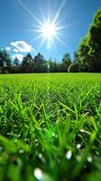 AI generated Sun Shining Over Grassy Field photo