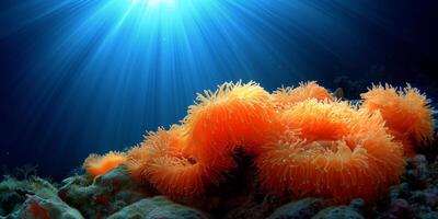 ai generado naranja mar anémona en el Oceano foto