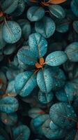 ai generado azul hojas con agua gotas - sereno naturaleza imagen foto