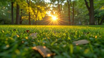 AI generated Sun Shining Through Trees in Park photo
