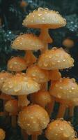 AI generated Group of Yellow Mushrooms With Water Droplets photo
