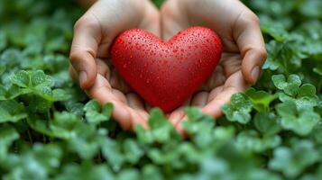 ai generado cuidando manos participación un rojo corazón en medio de verde tréboles foto