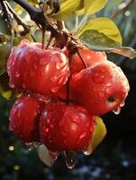 AI generated Lustrous, ripe apple with detailed texture reflecting its freshness, Ai Generated photo