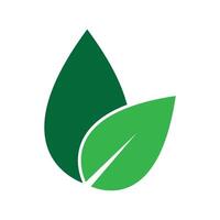 green leaf logo vector