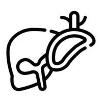 liver Line Icon Background White vector