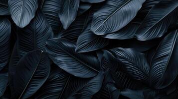 AI generated Immerse yourself in the abstract beauty of black leaves, creating a tropical leaf background. Ai Generated. photo