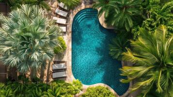 ai generado aéreo ver vitrinas un piscina oasis rodeado por lozano palma árboles, un tropical paraíso, ai generado foto