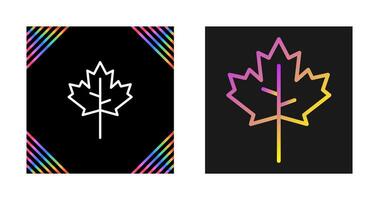 Maple leaf Vector Icon