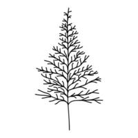 Hand Drawn Tree Outline, Tree Line Art Black and White Sketch Drawing vector