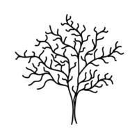 Hand Drawn Tree Outline, Tree Line Art Black and White Sketch Drawing vector