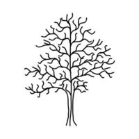 Hand Drawn Tree Outline, Tree Line Art Black and White Sketch Drawing vector