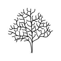 Hand Drawn Tree Outline, Tree Line Art Black and White Sketch Drawing vector