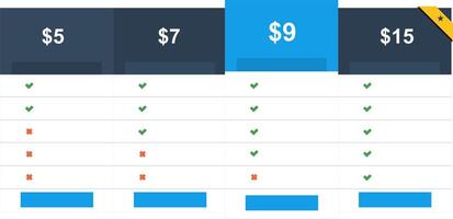 Pricing table vector illustration. Pricing table template. Pricing deck blue.