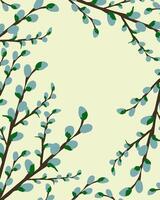 Vector illustration of a background with willow branches.