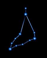 Vector isolated illustration of Capricorn constellation with neon effect.