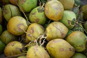 Pile of Coconuts photo