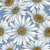 Seamless pattern with white chamomile on a blue background. vector background for wrapping paper, wallpaper or cover of notebook, notepad