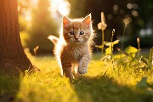 AI generated Cute kitten running on green grass on a sunny summer day, active cat playing outdoors photo