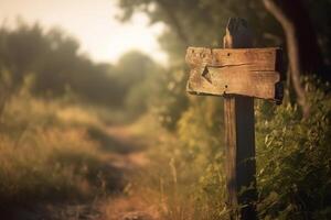 ai generado antiguo de madera firmar tablero con vacío espacio para texto cerca el bosque al aire libre en un soleado día, Copiar espacio. generativo ai foto