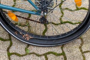 flat bicycle tire with view from above photo