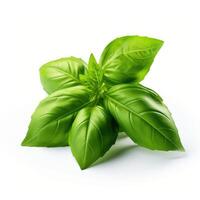 AI generated Fresh basil leaves isolated on a white background, perfect for culinary designs, Ai Generated. photo
