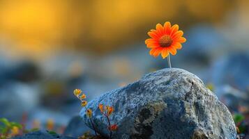 ai generado un solitario flor floraciones en medio de escabroso rocas, de la naturaleza elástico belleza en duro terreno, ai generado foto