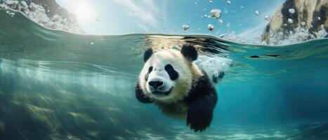 AI generated A panda bear cub is swimming underwater in a clear, blue river, Ai Generated photo