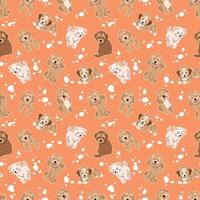 CUTE MALTIPOO IN SOME MOVES PATTERN DESIGN vector