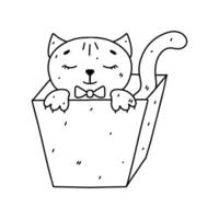 Cat in a box. Hand drawn doodle style. Vector illustration isolated on white. Coloring page.