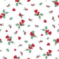 Red cranberries seamless pattern. Lingonberry, forest berries. Watercolor illustration for cozy home. Ornate for room decor, print, textile design, icon, logo png