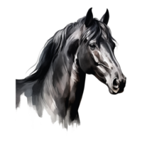 AI generated A black horse isolated on transparent background png