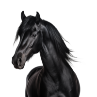 AI generated A black horse isolated on transparent background png